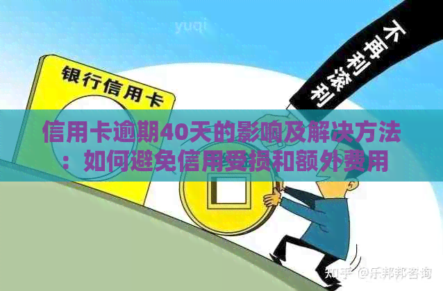 信用卡逾期40天的影响及解决方法：如何避免信用受损和额外费用