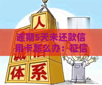 逾期5天未还款信用卡怎么办：影响及解决办法