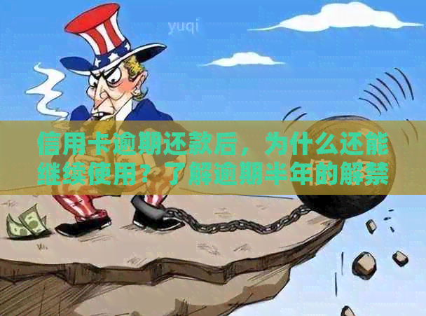 信用卡逾期还款后，为什么还能继续使用？了解逾期半年的解禁原理与恢复流程