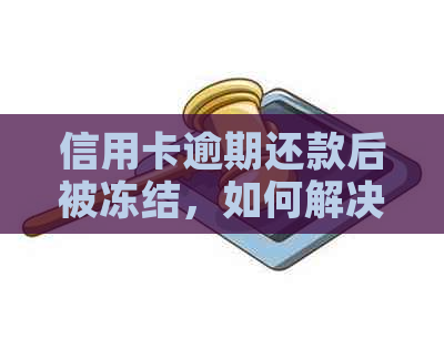 信用卡逾期还款后被冻结，如何解决？了解解冻流程和预防措