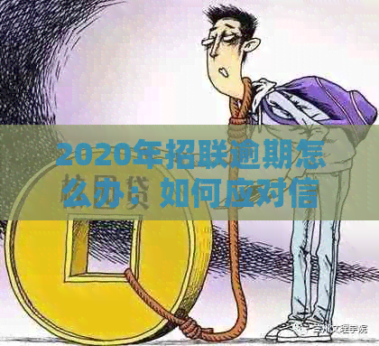 2020年招联逾期怎么办：如何应对信用卡透支问题？