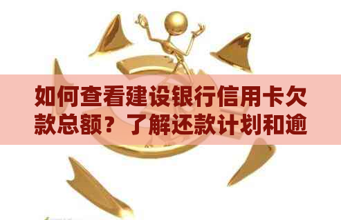 如何查看建设银行信用卡欠款总额？了解还款计划和逾期管理策略