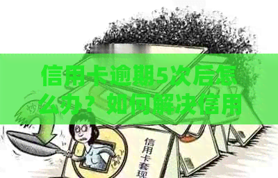 信用卡逾期5次后怎么办？如何解决信用问题？