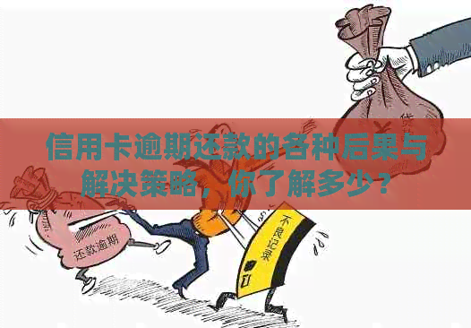 信用卡逾期还款的各种后果与解决策略，你了解多少？