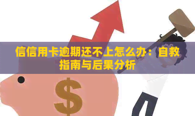 信信用卡逾期还不上怎么办：自救指南与后果分析