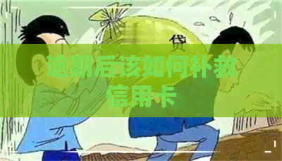 逾期后该如何补救信用卡