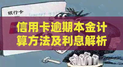 信用卡逾期本金计算方法及利息解析：如何准确计算逾期还款的本金和利息？