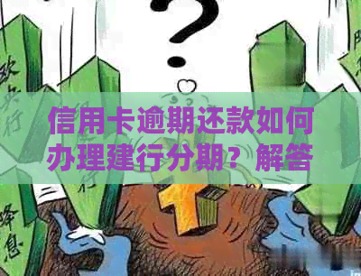 信用卡逾期还款如何办理建行分期？解答用户常见问题和应对策略