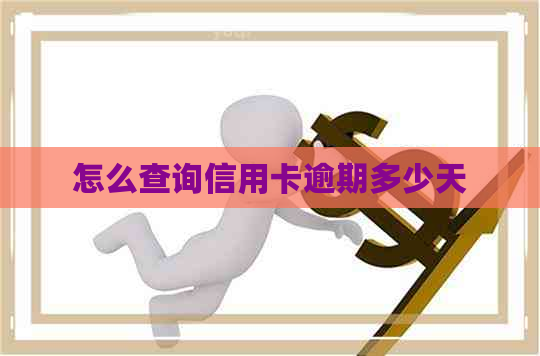 怎么查询信用卡逾期多少天