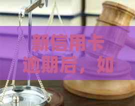 新信用卡逾期后，如何通过车辆贷款解决购车资金问题？