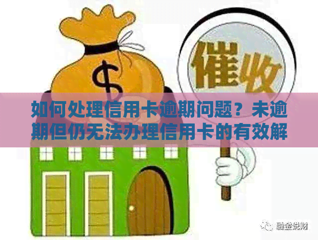 如何处理信用卡逾期问题？未逾期但仍无法办理信用卡的有效解决策略