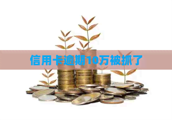 信用卡逾期10万被抓了