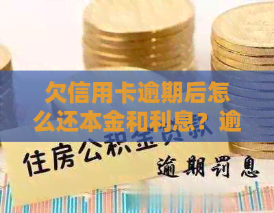 欠信用卡逾期后怎么还本金和利息？逾期未还的信用卡会产生什么后果？