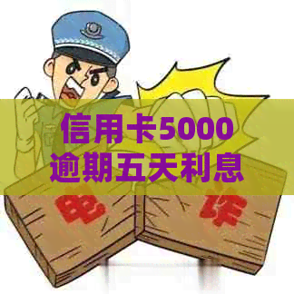 信用卡5000逾期五天利息、后果及影响全解析：逾期10天罚款多少？