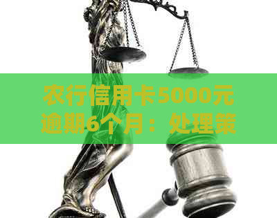 农行信用卡5000元逾期6个月：处理策略与建议