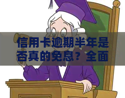 信用卡逾期半年是否真的免息？全面解析逾期还款优政策及影响