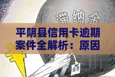 平阴县信用卡逾期案件全解析：原因、影响与解决办法一文看清