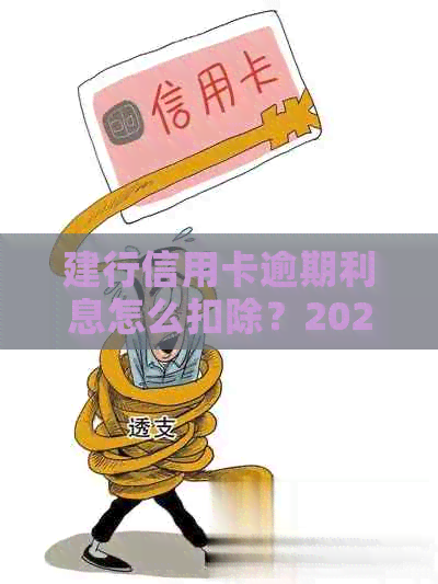 建行信用卡逾期利息怎么扣除？2021年新政策来了！