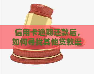 信用卡逾期还款后，如何寻找其他贷款渠道并解决逾期影响？