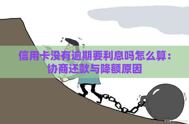 信用卡没有逾期要利息吗怎么算：协商还款与降额原因