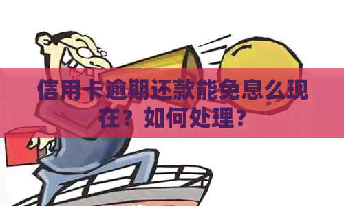 信用卡逾期还款能免息么现在？如何处理？