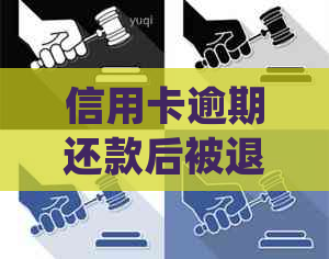 信用卡逾期还款后被退回，如何处理并避免此类问题再次发生？