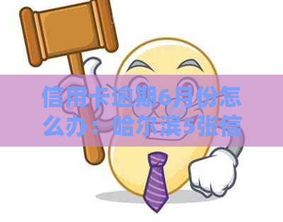 信用卡逾期6月份怎么办：哈尔滨5张信用卡6个月逾期，暂无能力还款