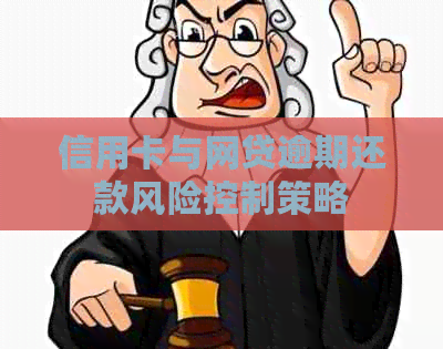 信用卡与网贷逾期还款风险控制策略