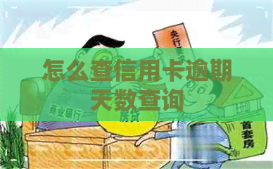 怎么查信用卡逾期天数查询