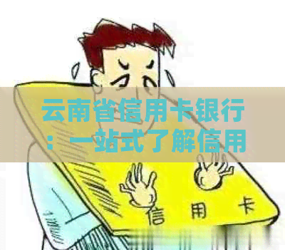 云南省信用卡银行：一站式了解信用卡申请、使用、还款及相关优政策