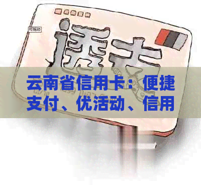 云南省信用卡：便捷支付、优活动、信用提升、金融服务一站式解决