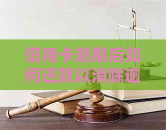 信用卡逾期后如何还款以消除逾期记录？了解详细步骤和建议