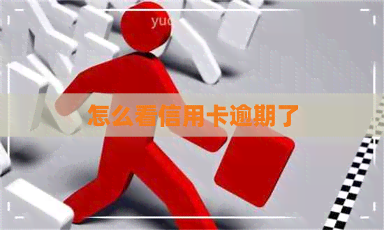 怎么看信用卡逾期了