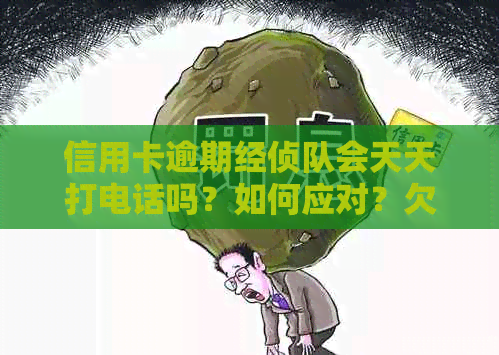 信用卡逾期经侦队会天天打电话吗？如何应对？欠款是否会导致被抓？