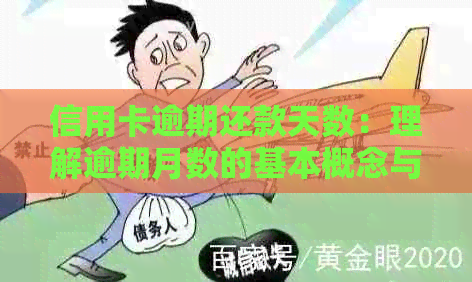 信用卡逾期还款天数：理解逾期月数的基本概念与影响