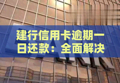 建行信用卡逾期一日还款：全面解决方案与应对策略