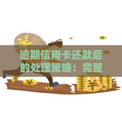 逾期信用卡还款后的处理策略：完整指南，涵了可能遇到的问题和解决办法