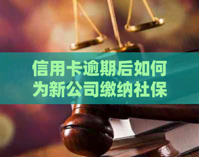 信用卡逾期后如何为新公司缴纳社保？解答用户可能关心的问题