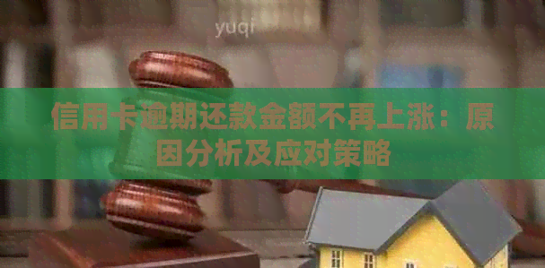 信用卡逾期还款金额不再上涨：原因分析及应对策略