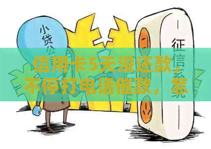 信用卡5天没还款，不停打电话催款，怎么办？