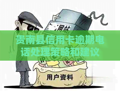 贵南县信用卡逾期电话处理策略和建议