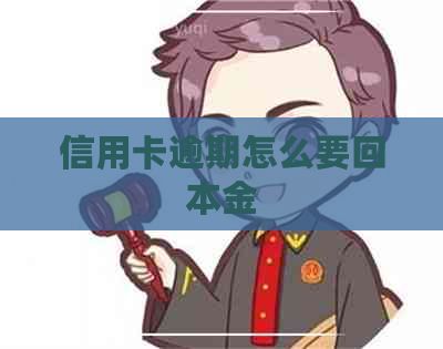 信用卡逾期怎么要回本金