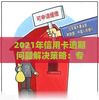 2021年信用卡逾期问题解决策略：专家建议与影响分析