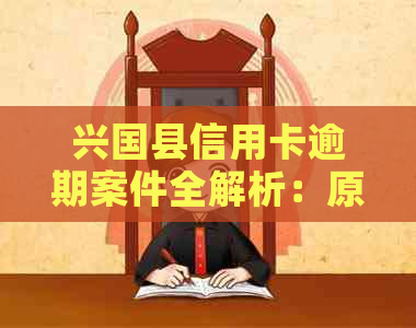 兴国县信用卡逾期案件全解析：原因、影响及解决办法一文看懂