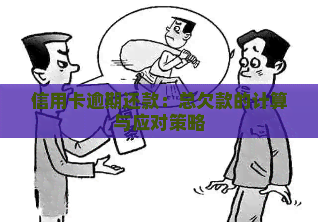 信用卡逾期还款：总欠款的计算与应对策略