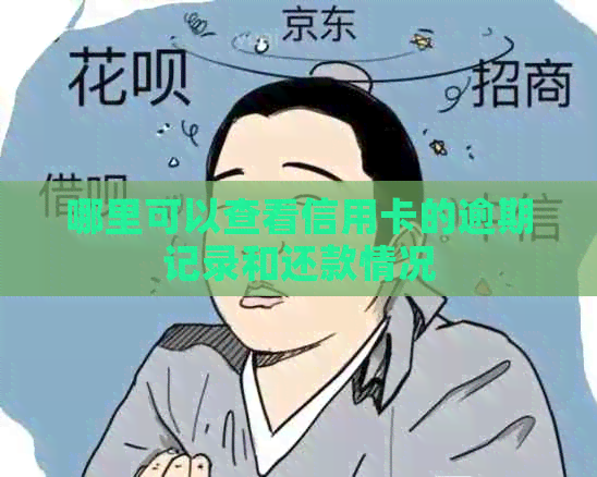 哪里可以查看信用卡的逾期记录和还款情况