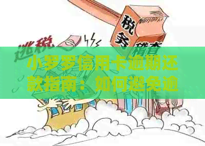 小罗罗信用卡逾期还款指南：如何避免逾期影响信用？