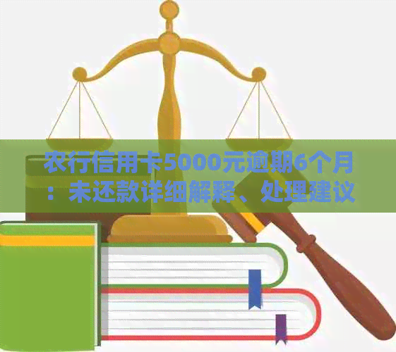 农行信用卡5000元逾期6个月：未还款详细解释、处理建议及影响分析