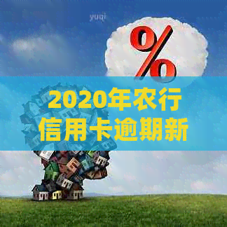 2020年农行信用卡逾期新法规详解：如何规划还款、避免罚息及影响？