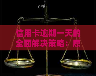 信用卡逾期一天的全面解决策略：原因、后果与应对方法